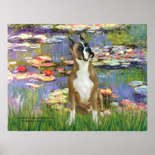 Boxer 1 (zugeschnitten) - Lilien 2 Poster (Vorne)