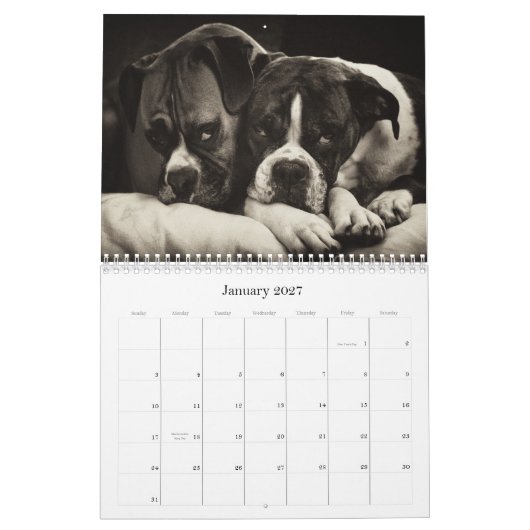 BOXER 2010 KALENDER (Jan 2027)