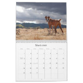 BOXER 2010 KALENDER (Mär 2026)