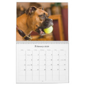 BOXER 2010 KALENDER (Feb 2026)