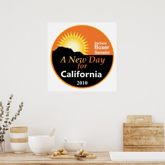 BOXER 2010 Plakatwerbung Poster (Küche)