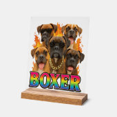Boxer acrylschild (Winkel)