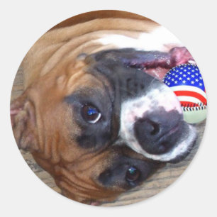 Boxer-Aufkleber Runder Aufkleber
