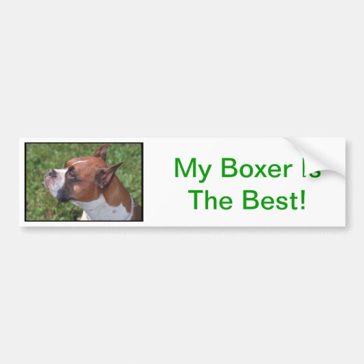 Boxer Autoaufkleber (Vorne)
