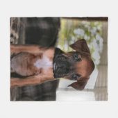 Boxer Baby Fleecedecke (Vorderseite (Horizontal))
