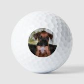 Boxer Baby Golfball (Vorderseite)