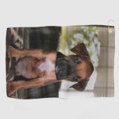 Boxer Baby Golfhandtuch (Horizontal)