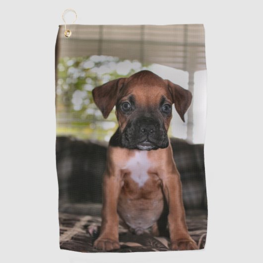 Boxer Baby Golfhandtuch (Vorderseite)