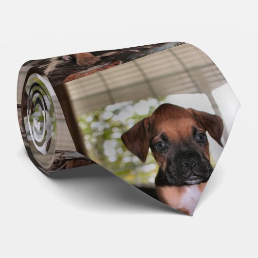 Boxer Baby Krawatte (Gerollt)