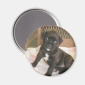 Boxer Baby! Magnet (Vorderseite/Rückseite)