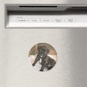 Boxer Baby! Magnet (In Situ (Geschirrspüler))