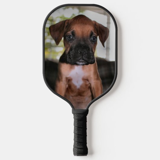 Boxer Baby Pickleball Schläger (Vorderseite)