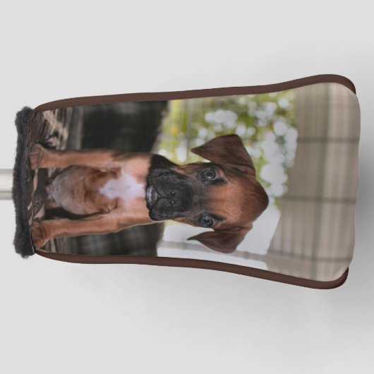 Boxer Babygolfkopfabdeckung Golf Headcover (Vorderseite)