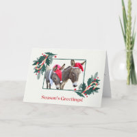 Boxer & Benjamin wünschen Ihnen einen glücklichen 