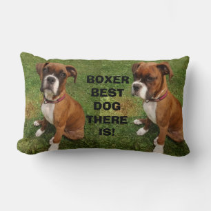 BOXER BESTER HUND ÜBERHAUPT  Kissen