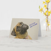 Boxer Birthday Card Karte (Gelbe Blume)