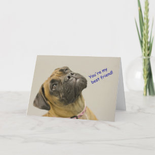 Boxer Birthday Card Karte
