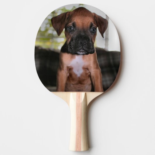 Boxer Bqby Tischtennis Schläger (Vorderseite)