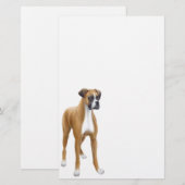 Boxer-Briefpapier Briefpapier (Vorne/Hinten)