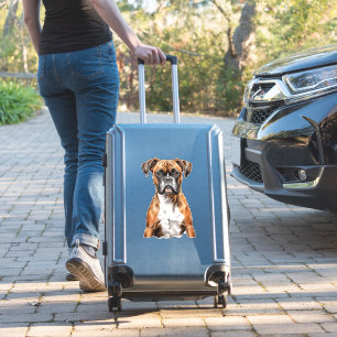 Boxer Buddies Niedlich Hunde Designs für Loyal Box Aufkleber