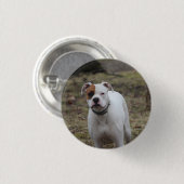 Boxer Button (Vorne & Hinten)