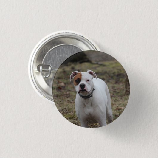 Boxer Button (Vorne & Hinten)