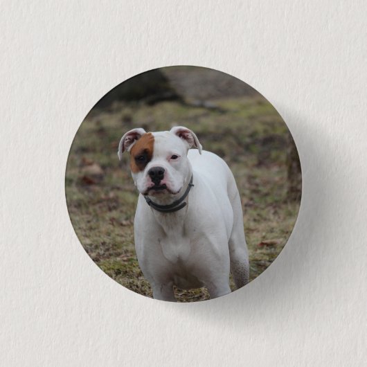 Boxer Button (Vorderseite)