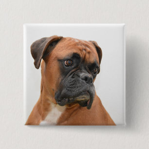 Boxer Button