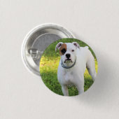 Boxer Button (Vorne & Hinten)