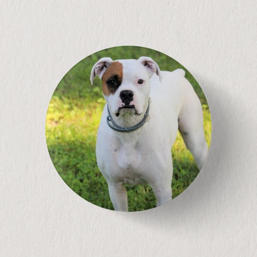 Boxer Button (Vorderseite)