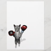 Boxer Cat (Vorderseite)