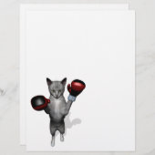 Boxer Cat (Vorne/Hinten)