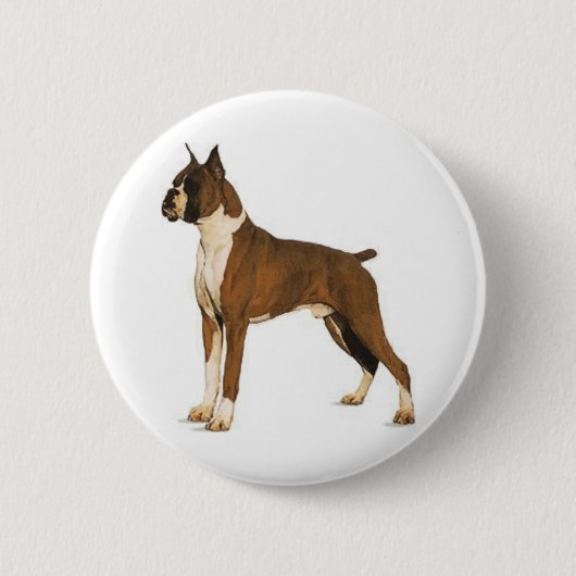 Boxer ceo button (Vorderseite)