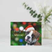 Boxer Christmas Feiertagspostkarte (Stehend Vorderseite)