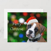 Boxer Christmas Feiertagspostkarte (Vorne/Hinten)