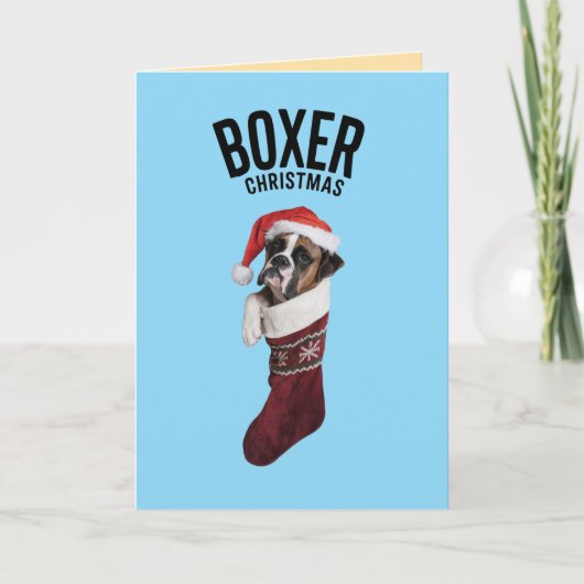 Boxer Christmas Strumpf Feiertagskarte (Vorderseite)