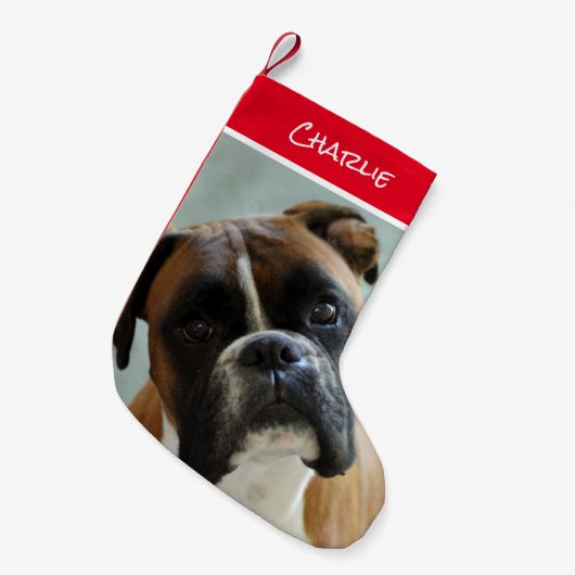 Boxer Christmas Strumpf Kleiner Weihnachtsstrumpf (Vorderansicht (hängend))