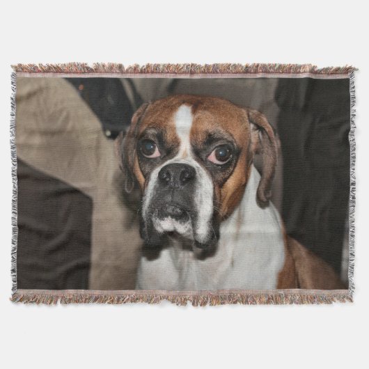 Boxer Decke (Vorderseite)