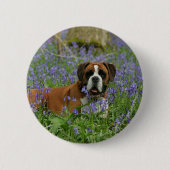 Boxer, der in Bluebells legt Button (Vorderseite)