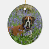 Boxer, der in Bluebells legt Keramikornament (Links)