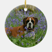 Boxer, der in Bluebells legt Keramikornament (Hinten)