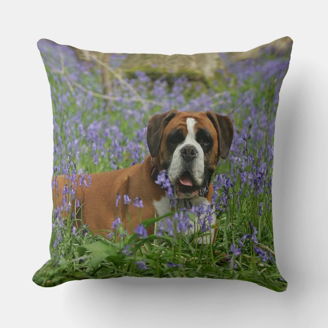 Boxer, der in Bluebells legt Kissen (Vorderseite)