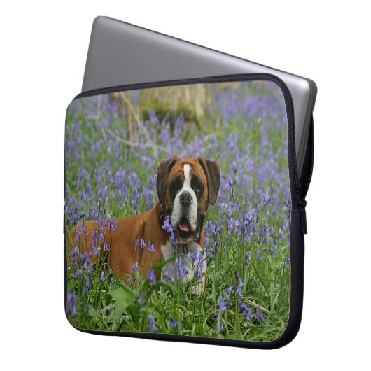 Boxer, der in Bluebells legt Laptopschutzhülle (Vorderseite Links)