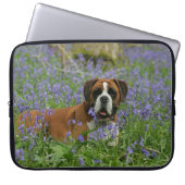 Boxer, der in Bluebells legt Laptopschutzhülle (Vorderseite)