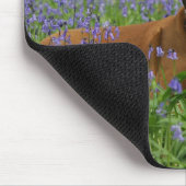 Boxer, der in Bluebells legt Mousepad (Ecke)