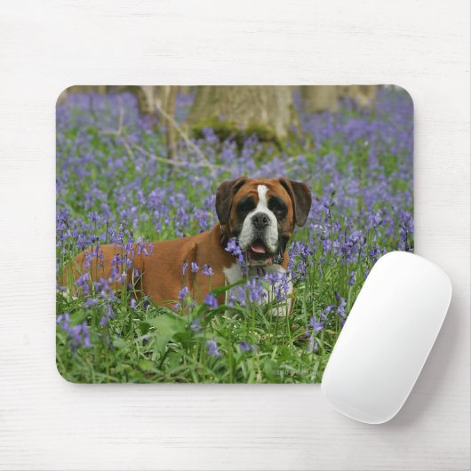 Boxer, der in Bluebells legt Mousepad (Mit Mouse)