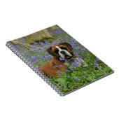 Boxer, der in Bluebells legt Notizblock (Rechte Seite)