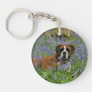 Boxer, der in Bluebells legt Schlüsselanhänger