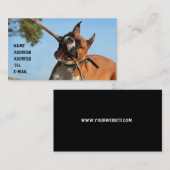 Boxer, der Visitenkarte spielt (Vorne/Hinten)