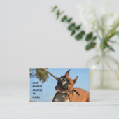 Boxer, der Visitenkarte spielt (Stehend Vorderseite)